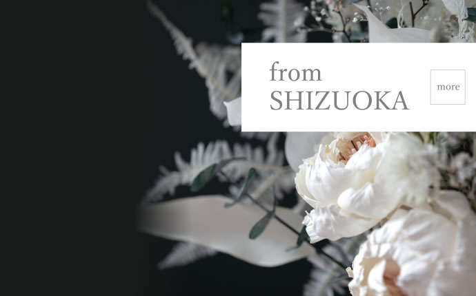 from SHIZUOKA