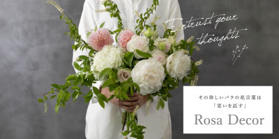 【Rosa Decor】その珍しいバラの花言葉は「思いを託す」