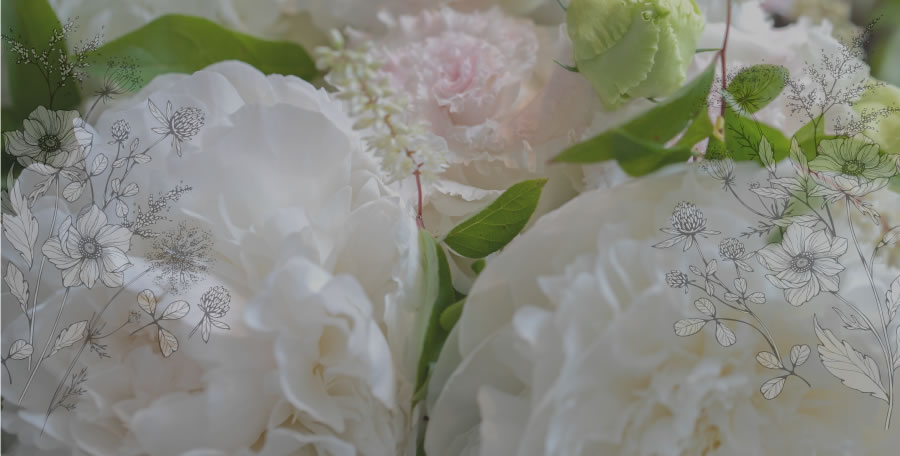 ふじのくに花の都 しずおか